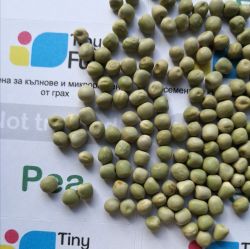 Семена от Грах (Pea Tendril) 700 гр