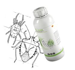 Ne-Zero (NE-ZERØ) – beneficial mushrooms Metarhizium anisopliae and Paecilomyces fumosoroseus (Isaria)