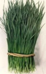 Чеснов Лук (Allium tuberosum) - 1500 бр (±) / 5 гр семена