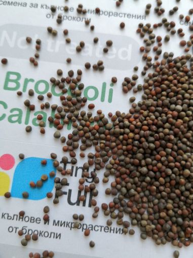 Broccoli Calabrese Seeds 150 g