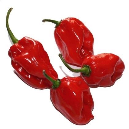 Семена от Люти Чушки - Habanero Red F1 - 10 броя