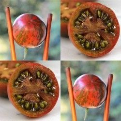 Чери домати - Violet Jasper - 15 семена