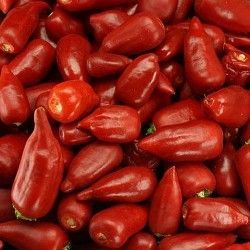 Люти Чушки - Aji Benito - 15 Семена