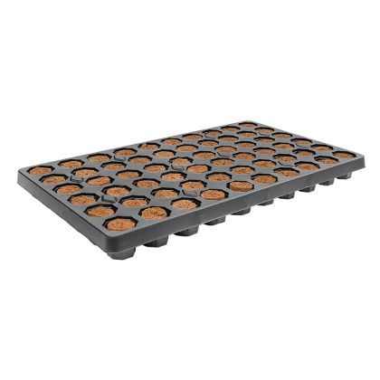 ROOTiT Dry Peat Free 60 Cell Filled Tray