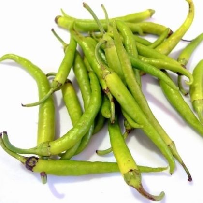 "Guindilla Verde" Chili pepper seeds - 15 pcs.