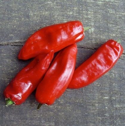 "Piment de la Bresse" Chili pepper seeds - 15 pcs.