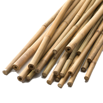 Bamboo stik 122mm. Ф10/12