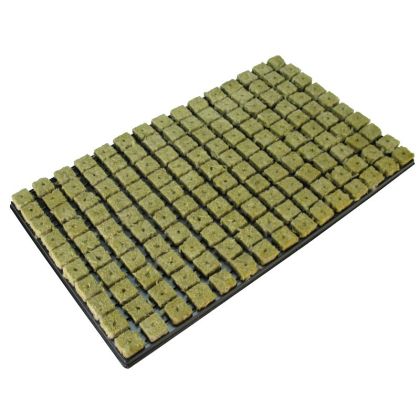 Grodan Tray 150 plugs