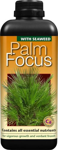 Liquid fertilizer Palm Focus 1 L