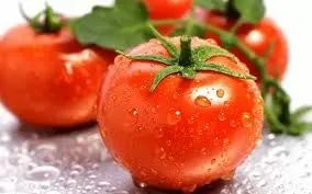 Семена от чери домати сорт "Касис" (Lycopersicon pimpinellifolium) ABC Potato-leaf 15 бр