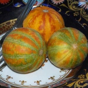 Melon Seeds - "Queen Anns Pocket" - 10 pieces