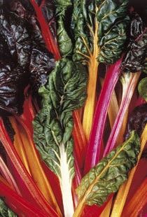 Swiss chard seeds - 5 colors - 100 pieces
