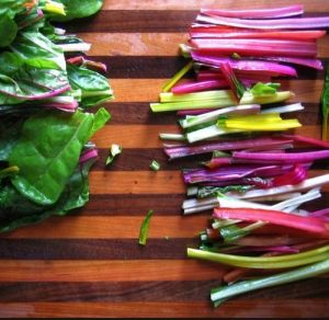 Swiss chard seeds - 5 colors - 100 pieces