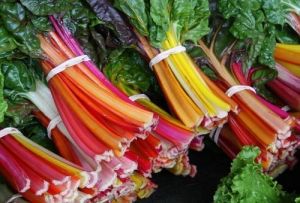 Swiss chard seeds - 5 colors - 100 pieces