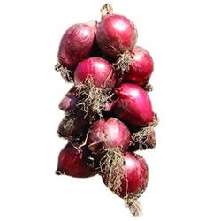 Sweet Onion Seeds - Tropea Rossa Tonda - 5 g