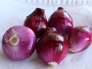 Sweet Onion Seeds - Tropea Rossa Tonda - 5 g