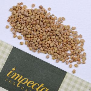 Lettuce Seeds - Verte de Cambrai - 25 grams