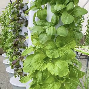 Hydroponic Tower Garden Vertical System 5 Levels