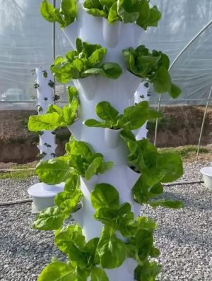 Hydroponic Tower Garden Vertical System 5 Levels