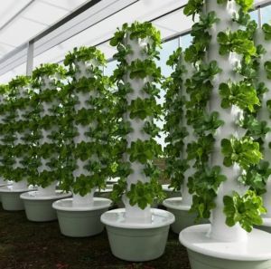 Hydroponic Tower Garden Vertical System 5 Levels