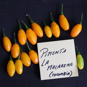 Chili Pepper Seeds - Pimenta La Macarena - 15 pieces