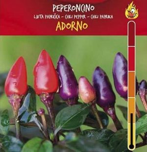 Chili Pepper Seeds - Italiano Adorno - 15 pieces