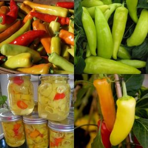 Hot Pepper Seeds - Hungarian Yellow Wax - 25 pieces