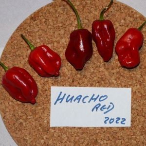 Chili Pepper Seeds - Huancho Red - 15 pieces