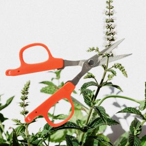 Professional Japanese scissors CHIKAMASA B-220S