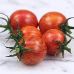 Чери домати - Bumble Bee Pink - 15 семена
