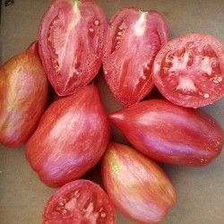 Домат рома - Streak Lightning - 15 семена