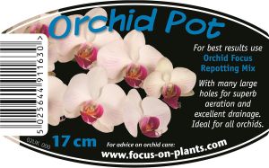 Transparent pot for Orchids 17cm