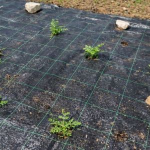 Покривало против плевели от тъкан текстил Bradas Grid, 100g/ m2,2.1 x 50m