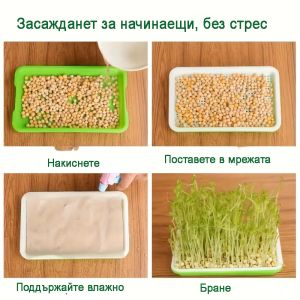 Tray with mesh and lid for Hydroponic cultivation of Microgreens 24/32cm