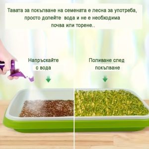 Tray with mesh and lid for Hydroponic cultivation of Microgreens 24/32cm
