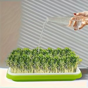 Tray with mesh and lid for Hydroponic cultivation of Microgreens 24/32cm