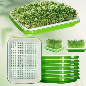 Tray with mesh and lid for Hydroponic cultivation of Microgreens 24/32cm
