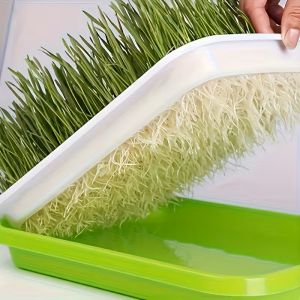 Tray with mesh and lid for Hydroponic cultivation of Microgreens 24/32cm