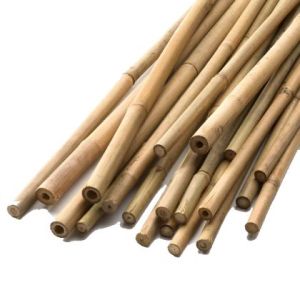 Bamboo plant support stake 1.80 см. Ф 16/18