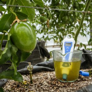 Bluelab pH PenPlus portable device with replaceable probe for measuring the acidity of liquids.