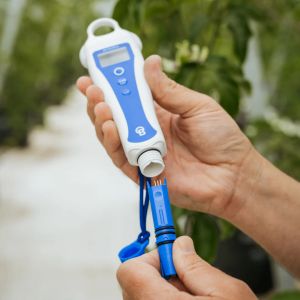 Bluelab pH ProbePlus - Replacement pH and temperature probe for Bluelab pH PenPlus