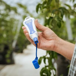 Bluelab pH ProbePlus - Replacement pH and temperature probe for Bluelab pH PenPlus