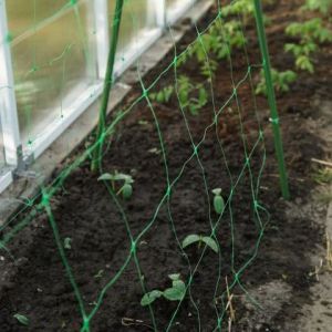 Bradas PLANT NET 2 × 10 m climbing plant net