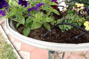 Automatic pot watering kit 15min