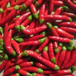 "Hot Demon Red" Chili pepper seeds - 10 pcs.