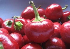 "Ciliegia Piccante" Chili pepper seeds - ± 50 pcs.