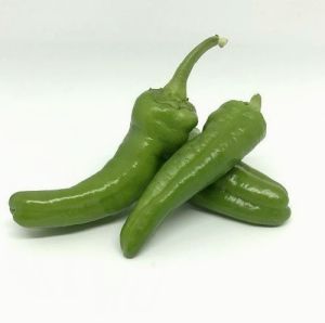 "Peperone Friariello" Chili pepper seeds - 90 pcs.