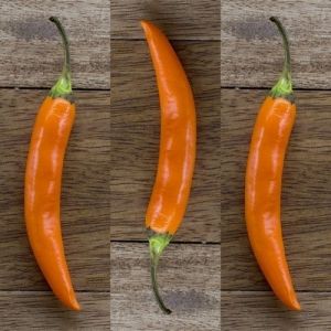 "Nepali Orange" Chili pepper seeds - 15 pcs.