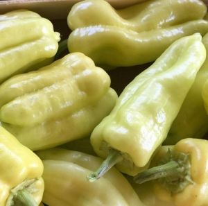 "My hot choice" Chili pepper seeds - 15 pcs.