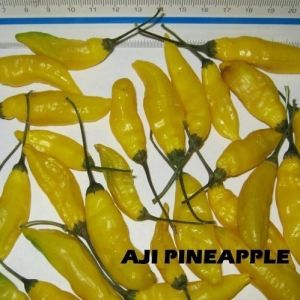 "Aji Pineaple" Chili pepper seeds - 15 pcs.